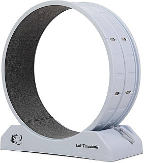Cat Running Wheel