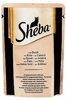 Sheba مراوى