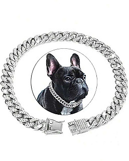 Luxury Chain Collar