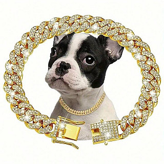 Luxury Chain Collar