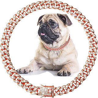 Luxury Chain Collar