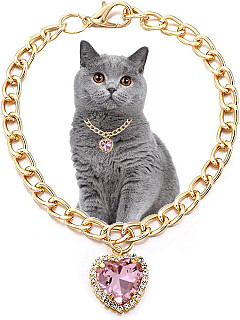 Luxury Collar