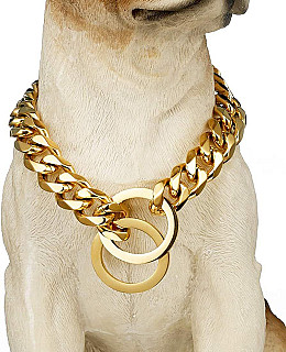 Chain Collar