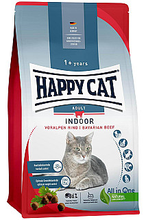 Happy Cat گۆشتی مانگا