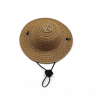 Pet Hat
