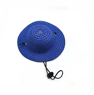 Pet Hat
