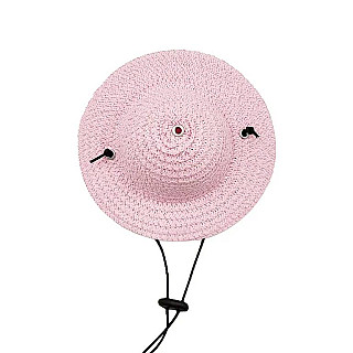 Pet Hat