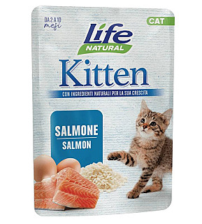 Life Cat Kitten Salmon