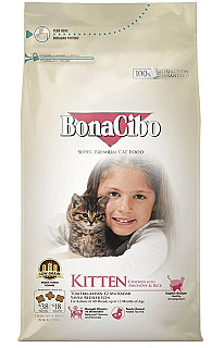 Bonacibo Kitten مریشک