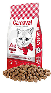 Carnaval Open Bag بەرخ