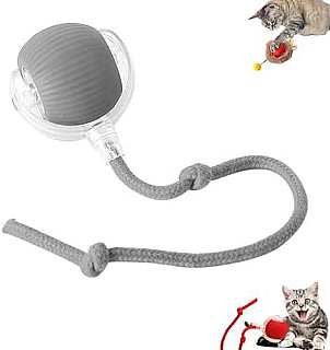 Interactive Cat Toy