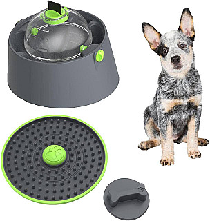 Food Dispenser & Ball Toys