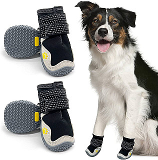 Dog Shoes