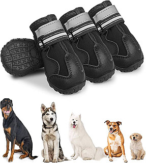 Dog Shoes