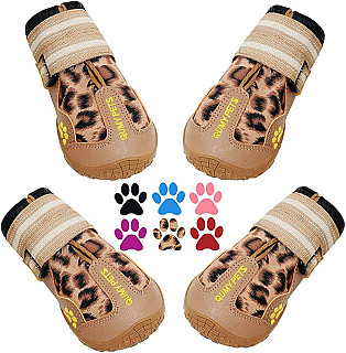 Dog Shoes