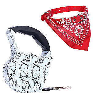 Leash & Collar