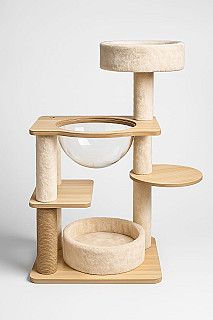 Cat Scratcher & Bed