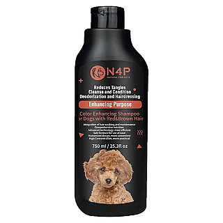 N4P Color Enhancing Shampoo