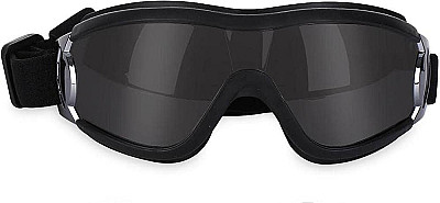 Dog Sunglass