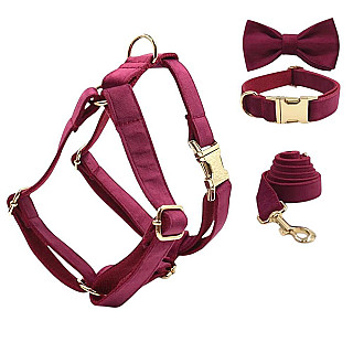 Leash & Harness