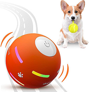 PetDroid یاری تۆپی سەگ