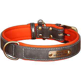 Collar