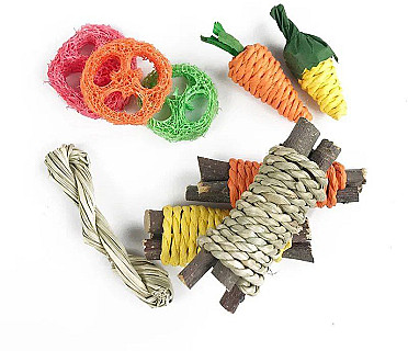 Animal Activity Toy