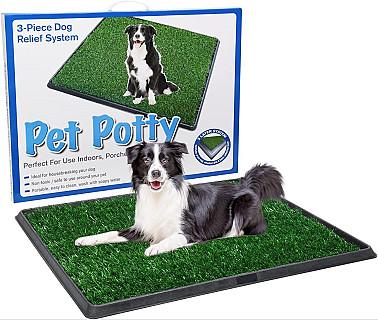 Potty Patch