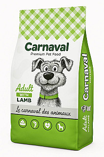 Carnaval adult بەرخ