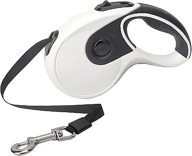 Retractable Leash