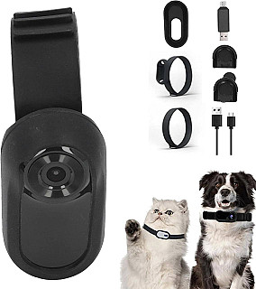 Pet Camera Collar