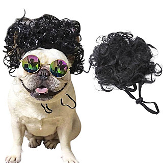 Pet Wig