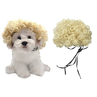 Pet Wig