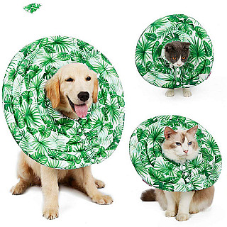 Protective Collar