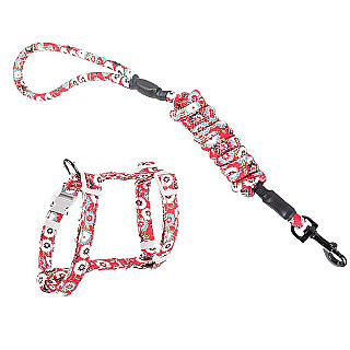 Harness & Leash