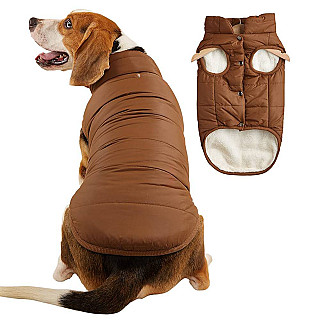 Köpek Ceketi