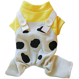 Dog Clothes