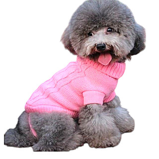 Dog Clothes