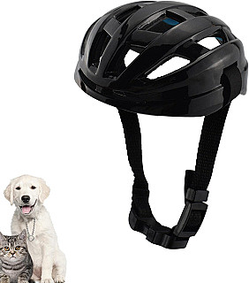 Pet Helmet