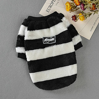 Cat Clothes