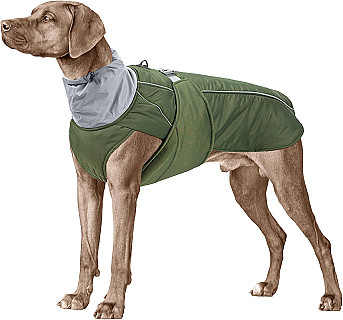 Köpek Kışlık Mont