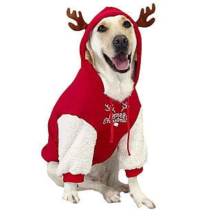 Noel Köpek Giysileri