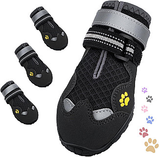 Köpek Ayakkabıları