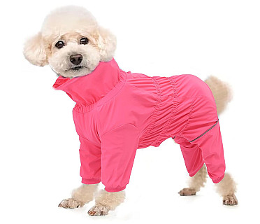 Köpek Kışlık Giysiler