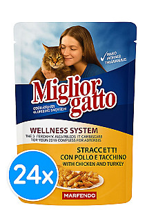 Miglior Gatto Chicken & Turkey