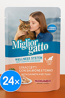 Miglior Gatto Salmon & Tuna