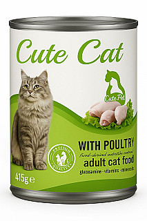 Cute Cat Adult with Poultry