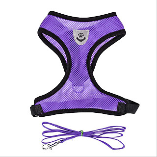 Cat Harness & Leash