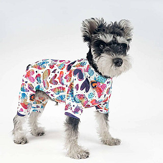 Dog Clothes