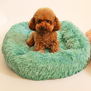 Köpek Yatağı